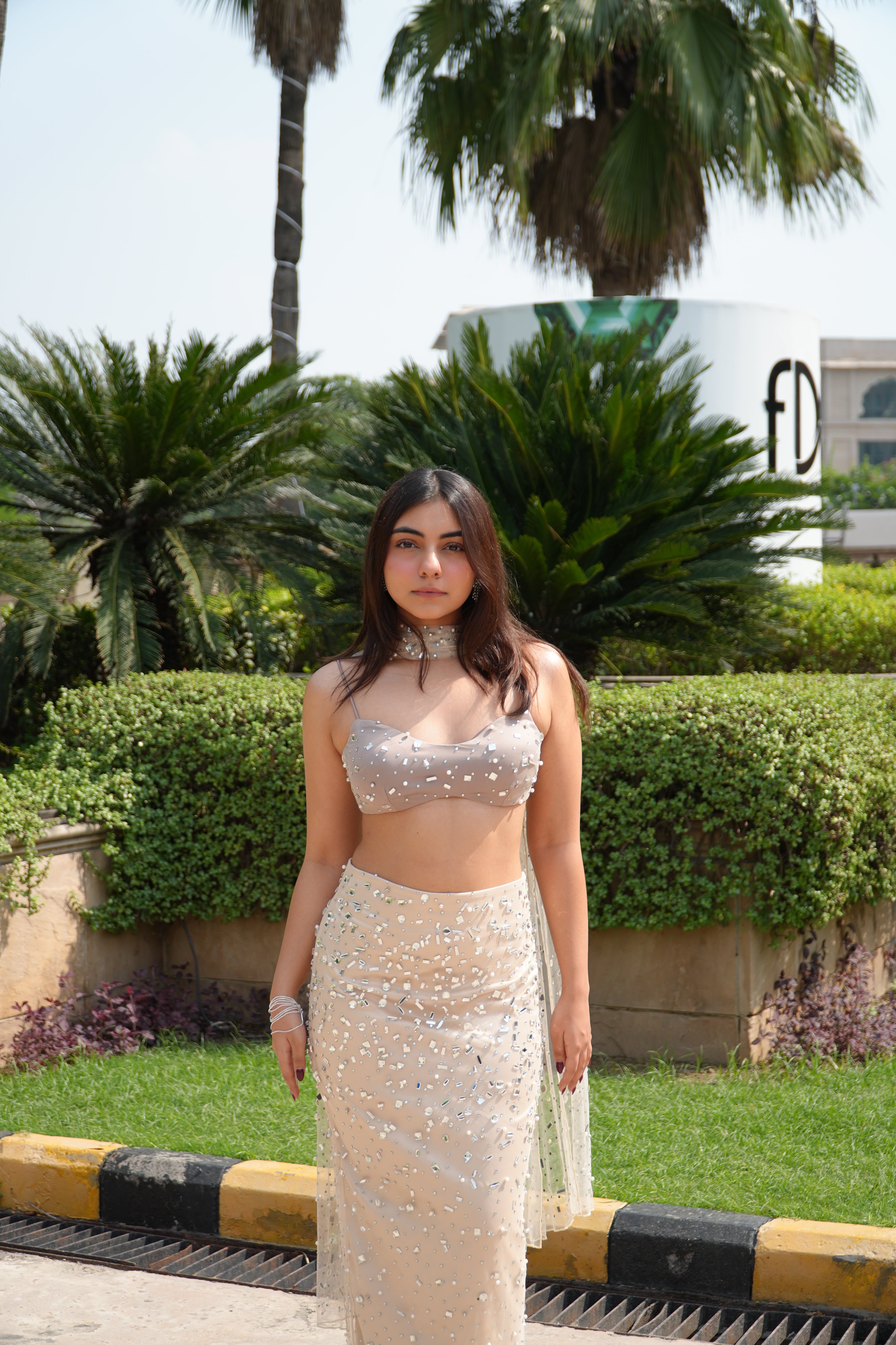 Alfiya Taupe Rhinestone-Embellished Skirt and Blouse Set