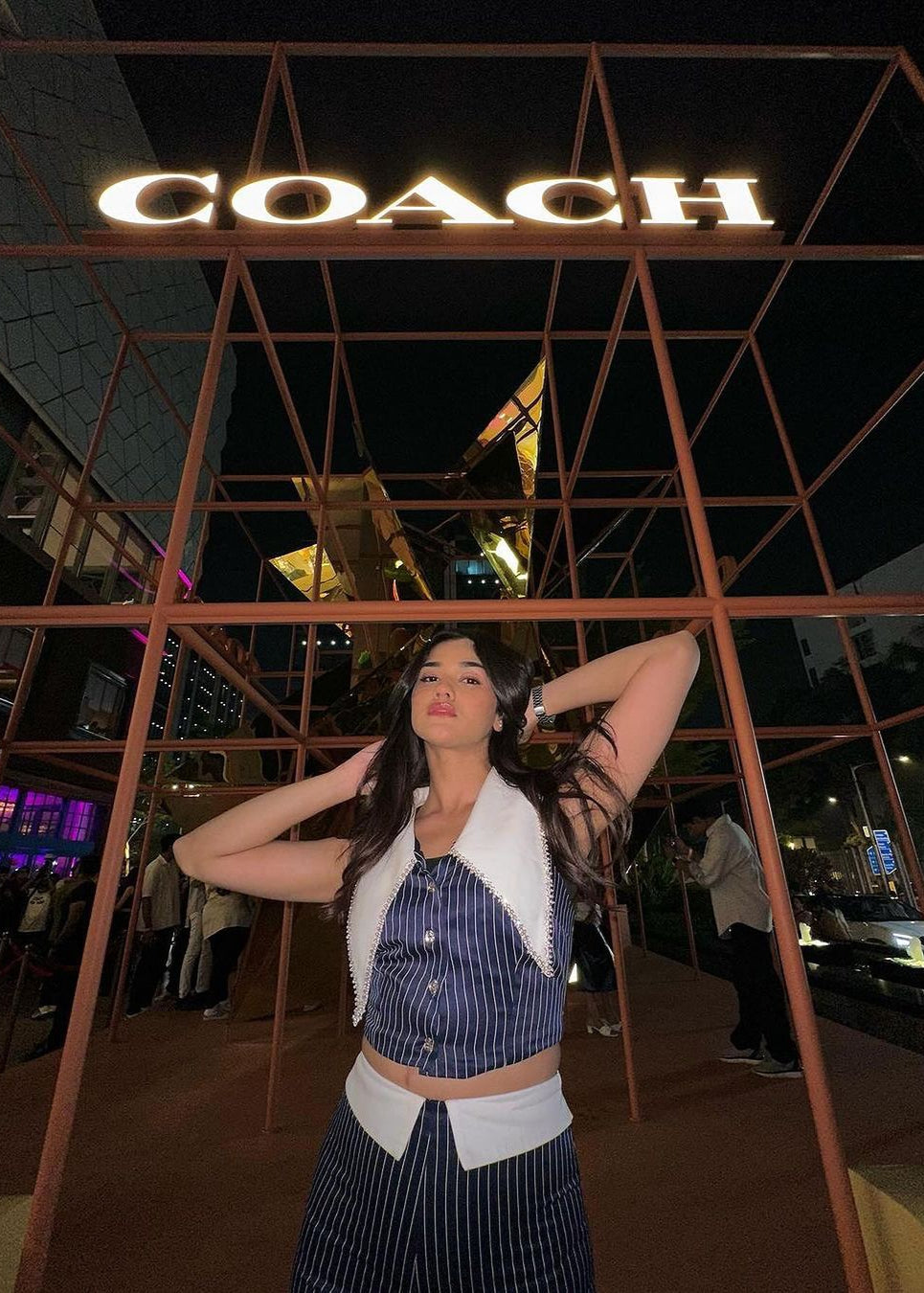 Stylish Dorothy Navy Pinstripe Embellished Coord Set with Modern Flair