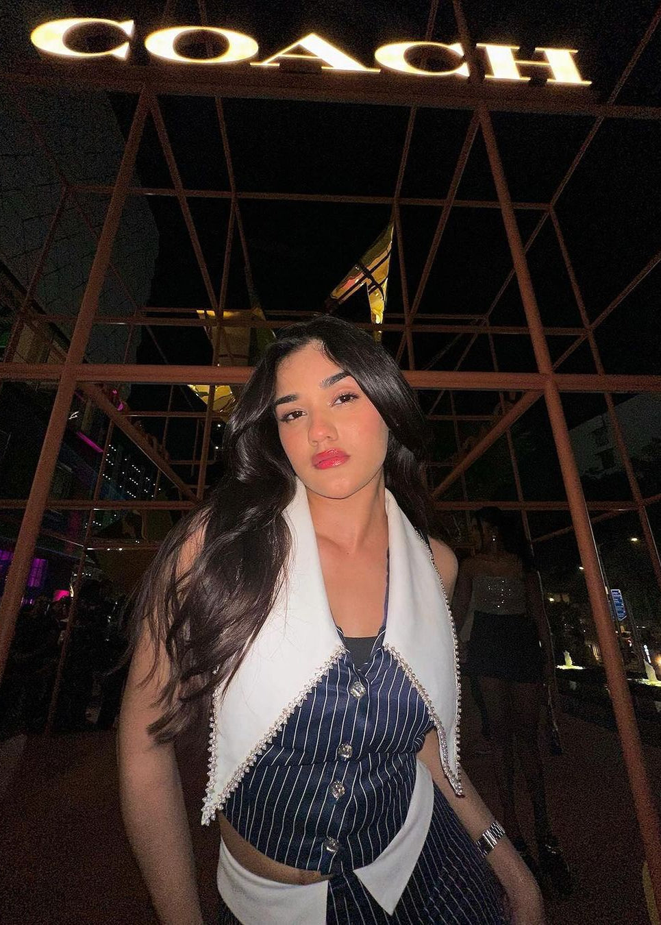 Stylish Dorothy Navy Pinstripe Embellished Coord Set with Modern Flair