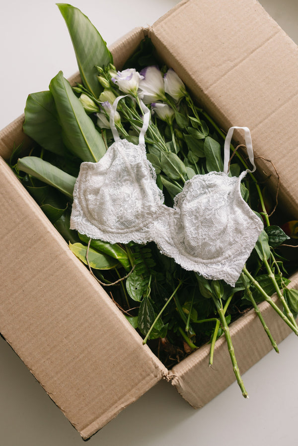 Buy Our Nyla White Underwired Cotton Lace Bra