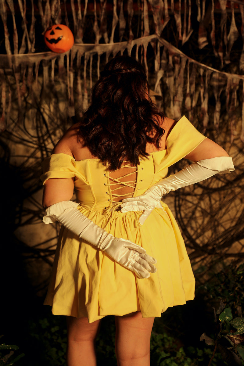 Eleanor Yellow Embroidered Corset Mini Dress