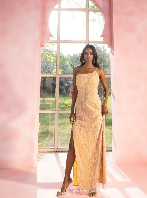 Sahara Nude Embroidered Gown