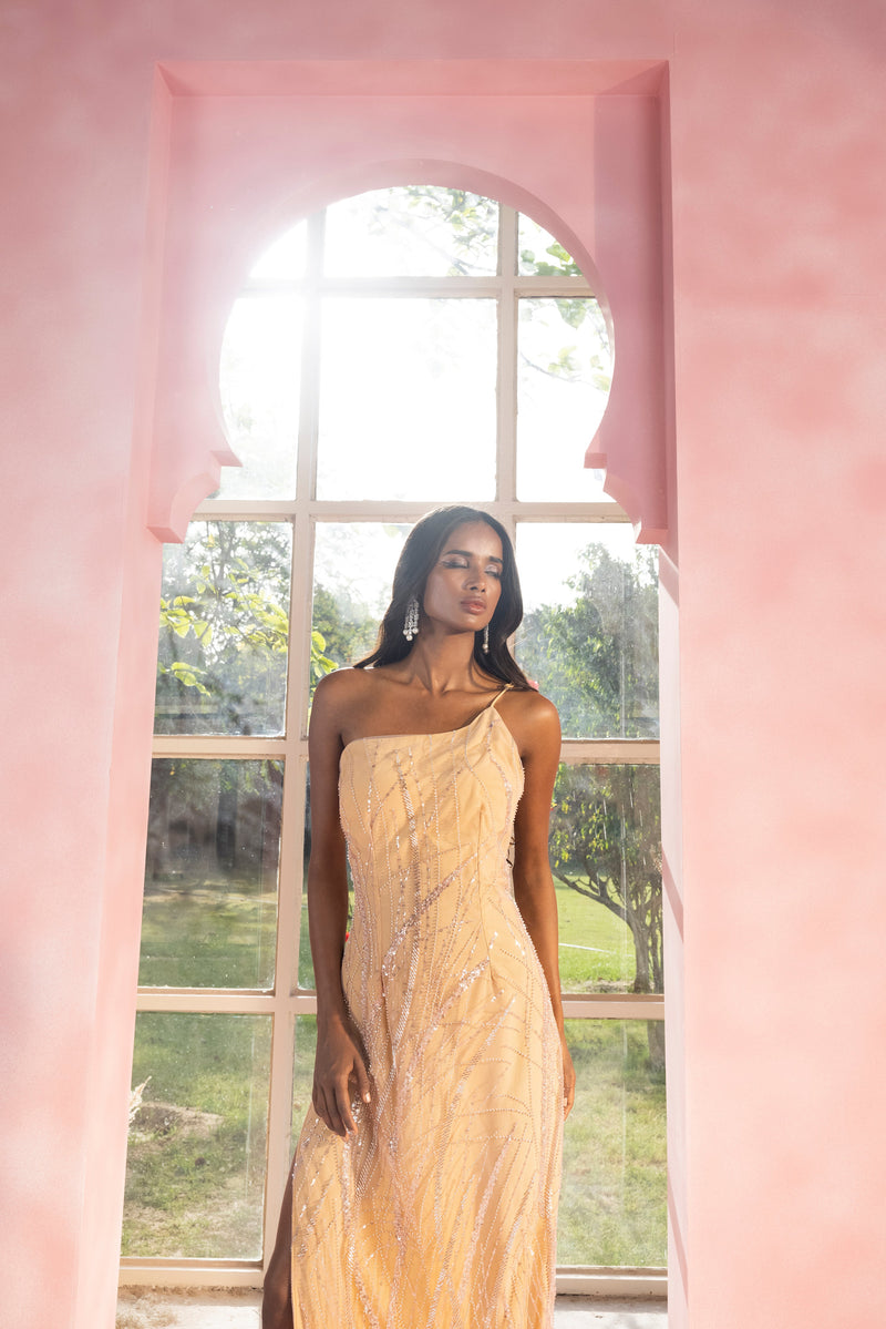 Sahara Nude Embroidered Gown